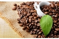 Thông báo : Cập nhật giá cà phê online hàng ngày trên Phuongan.vn
